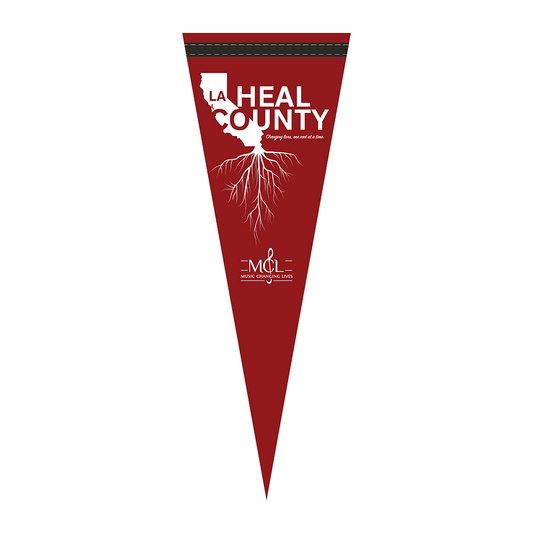 Heal LA County Premium Felt Pennant