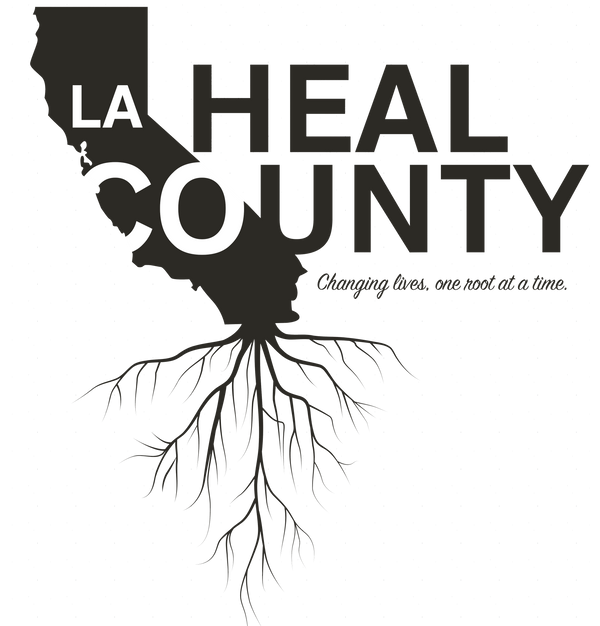 Heal LA County Pop-Up Shop Fundraiser - 311902